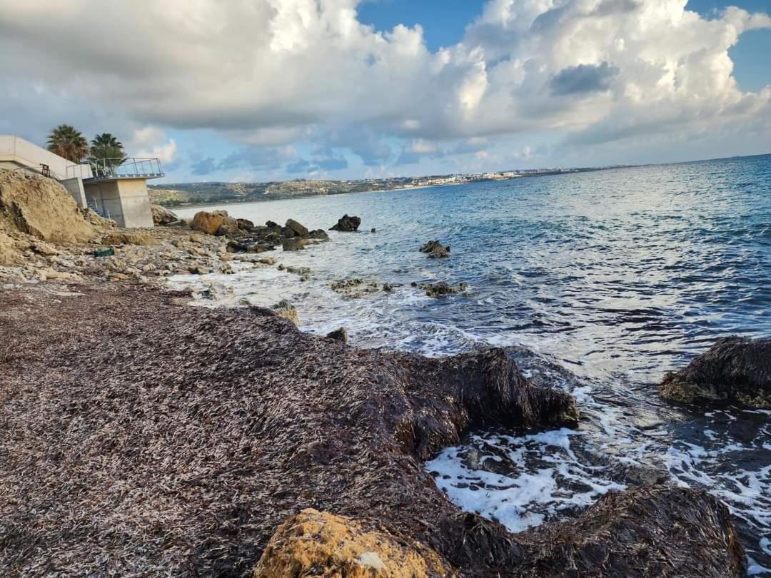 Serenity Corner Paphos Exteriör bild